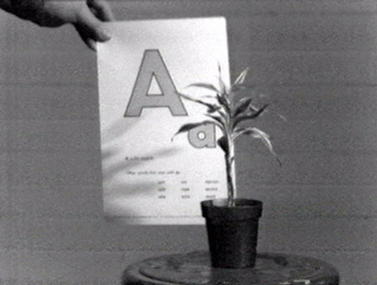 John Baldessari, still from <em>Teaching A Plant the Alphabet</em>, 1972. Black and white video, 19 min. Courtesy of John Baldessari.